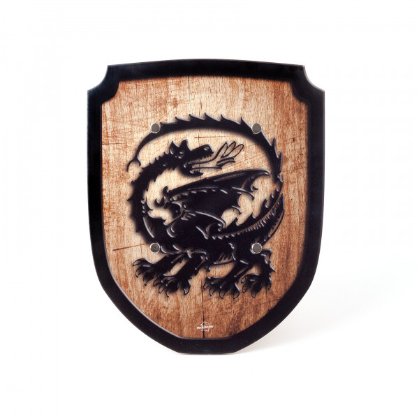 Schild Drache klein